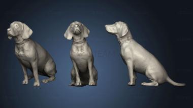 3D model BEAGLE (STL)